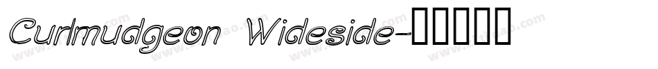 Curlmudgeon Wideside字体转换